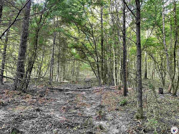 38.6 Acres of Recreational Land for Sale in Jefferson, Texas