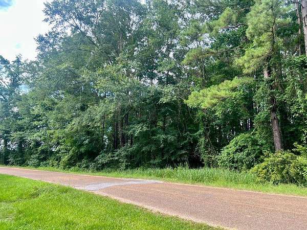 20.9 Acres of Recreational Land for Sale in Stamps, Arkansas