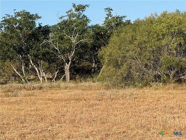 11.6 Acres of Land for Sale in Stockdale, Texas