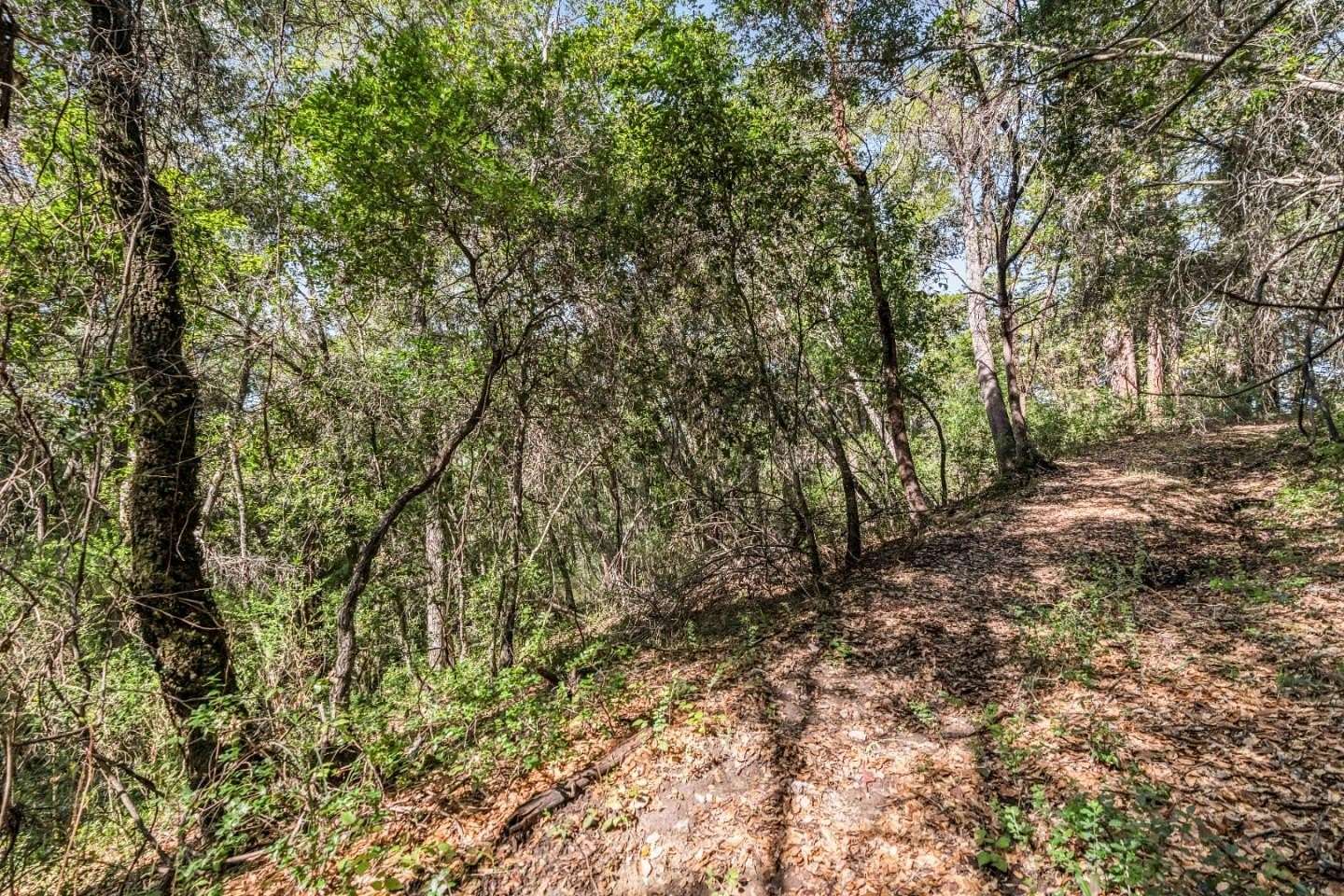 0.11 Acres of Residential Land for Sale in Felton, California