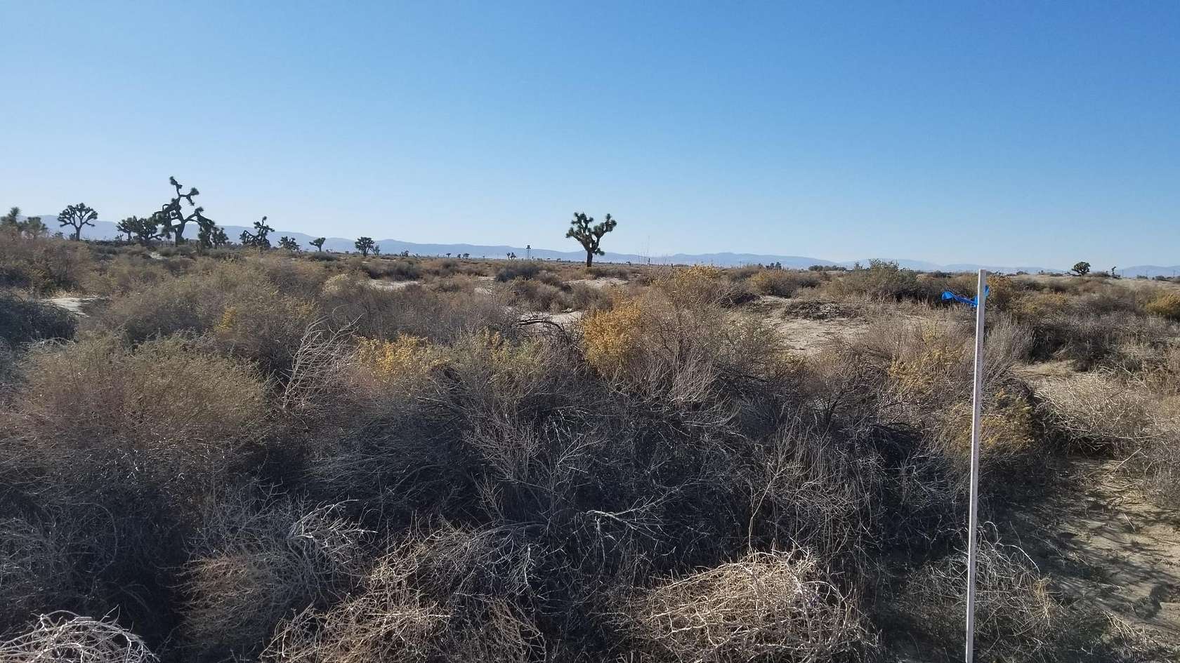 2.58 Acres of Residential Land for Sale in Lancaster, California