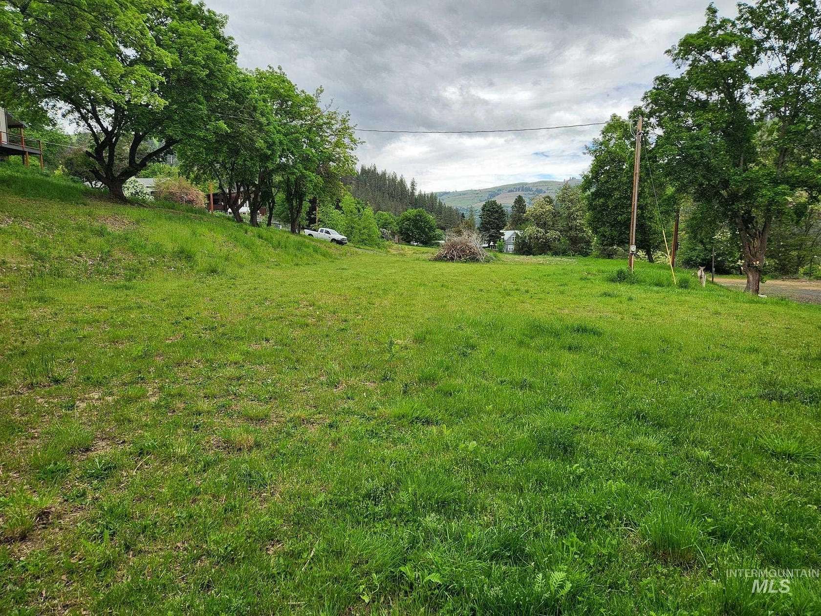 0.46 Acres of Residential Land for Sale in Peck, Idaho