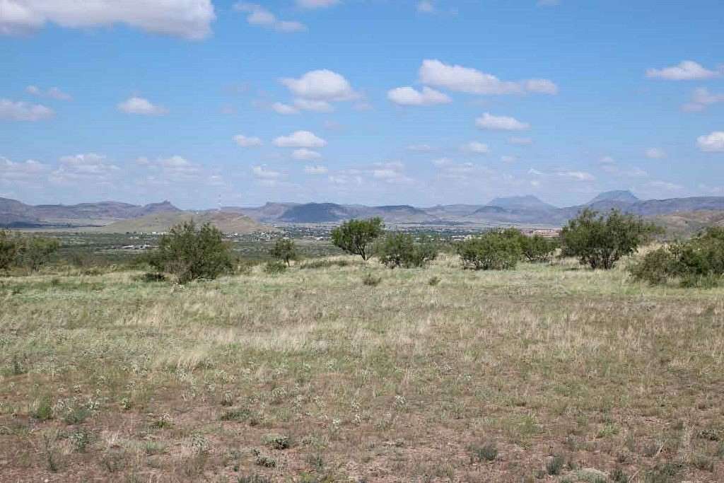 33.8 Acres of Land for Sale in Alpine, Texas