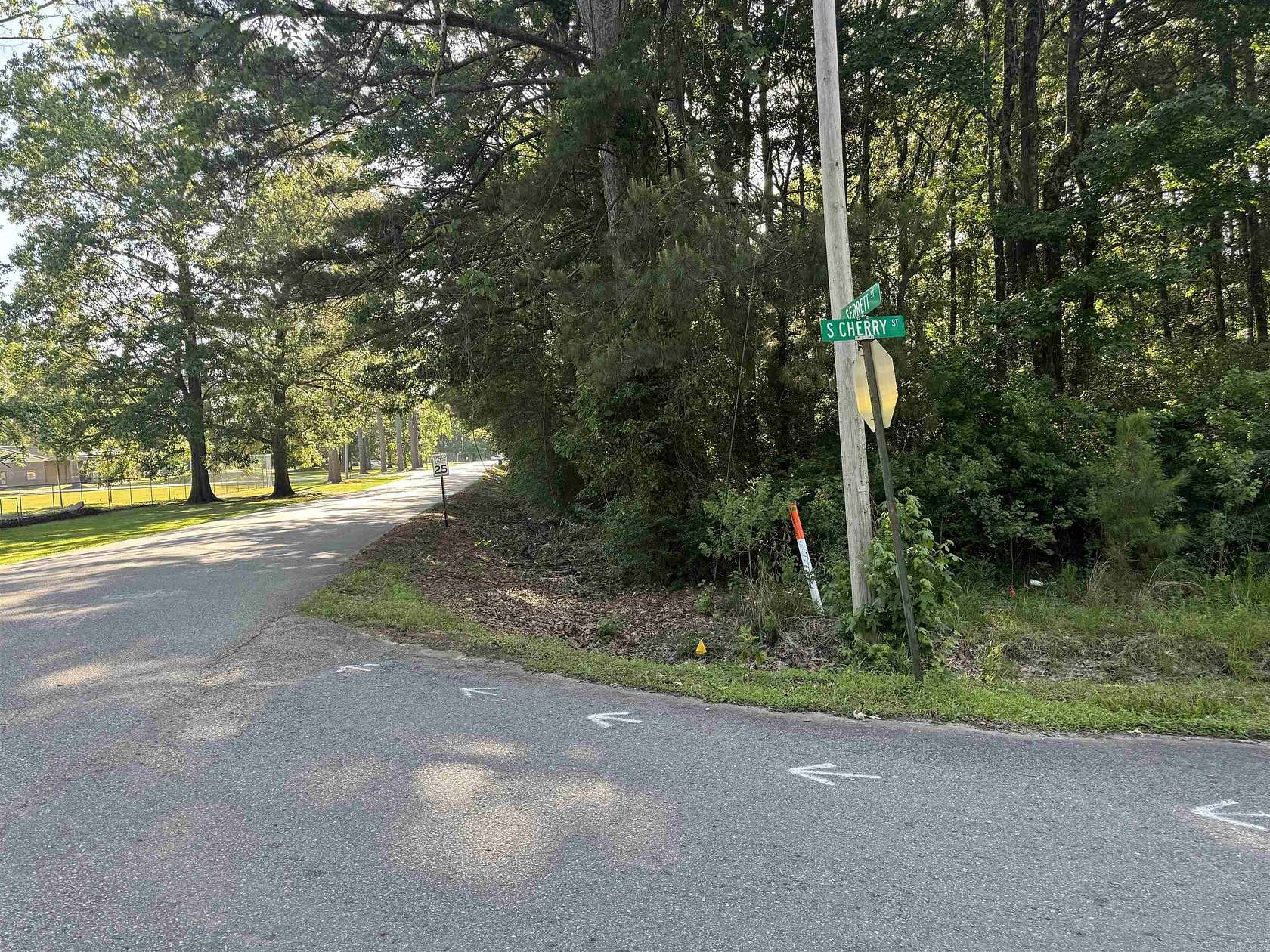 3 Acres of Residential Land for Sale in Hamburg, Arkansas