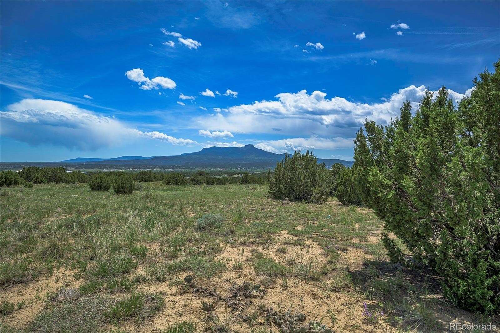36.2 Acres of Recreational Land & Farm for Sale in Trinidad, Colorado