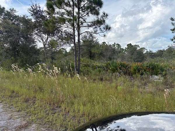 0.46 Acres of Residential Land for Sale in Lake Placid, Florida