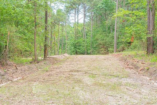 4 Acres of Land for Sale in Zavalla, Texas