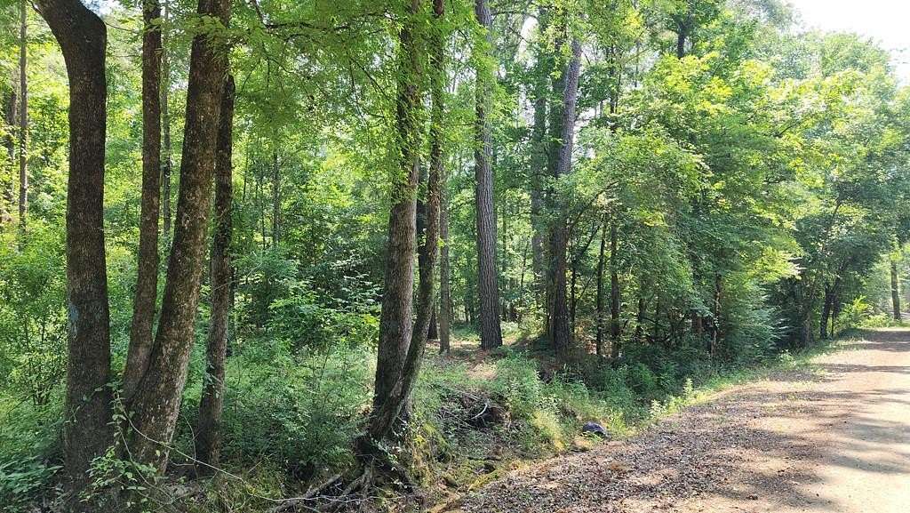 10.9 Acres of Recreational Land for Sale in Center, Texas