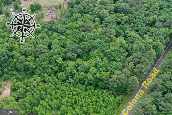 13.2 Acres of Recreational Land for Sale in Pocomoke City, Maryland