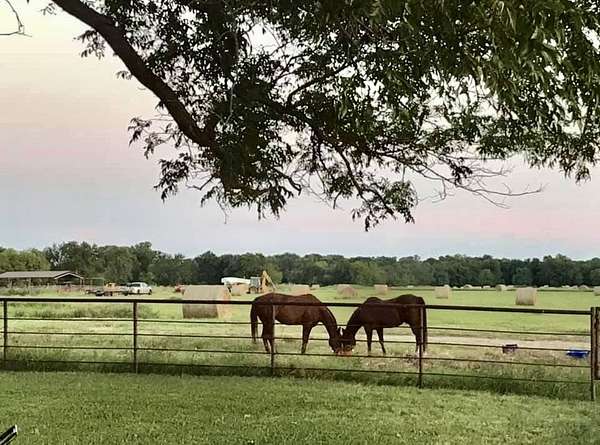 330 Acres of Land for Sale in Lake Creek, Texas