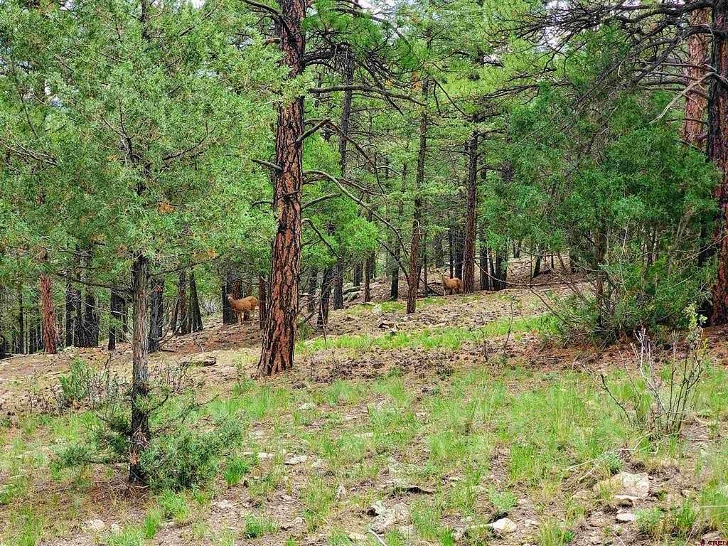 8 Acres of Residential Land for Sale in South Fork, Colorado