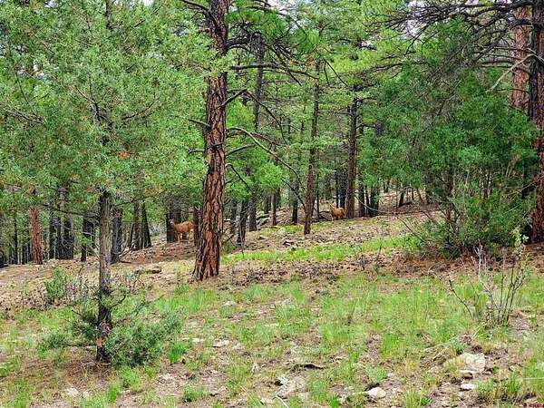 8 Acres of Land for Sale in South Fork, Colorado