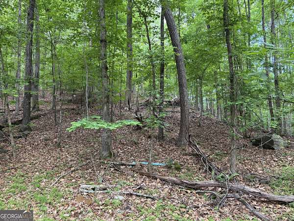 2 Acres of Residential Land for Sale in Lithia Springs, Georgia