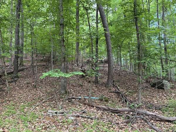 2 Acres of Residential Land for Sale in Lithia Springs, Georgia