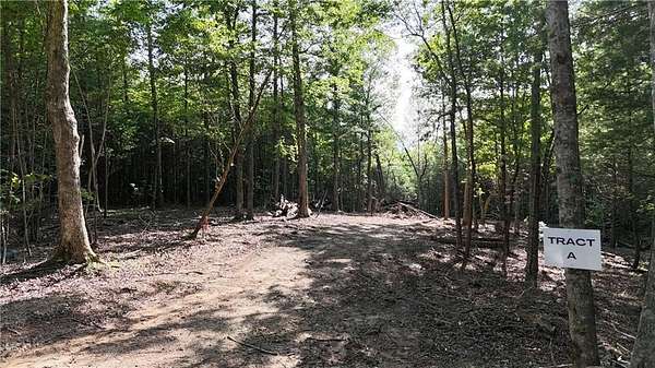6.15 Acres of Residential Land for Sale in Ellijay, Georgia