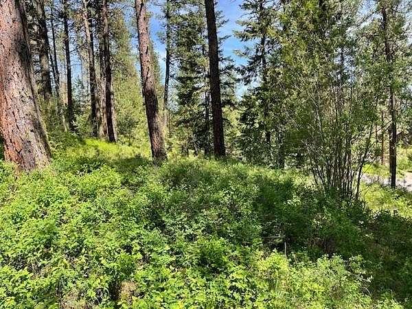 0.58 Acres of Land for Sale in New Meadows, Idaho