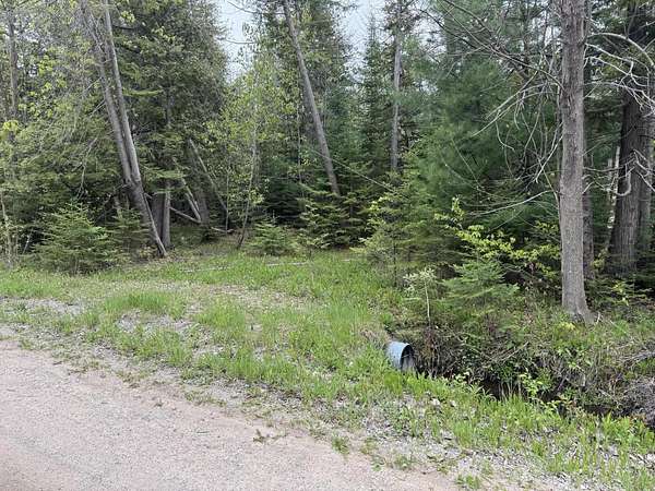 1.7 Acres of Land for Sale in Alanson, Michigan