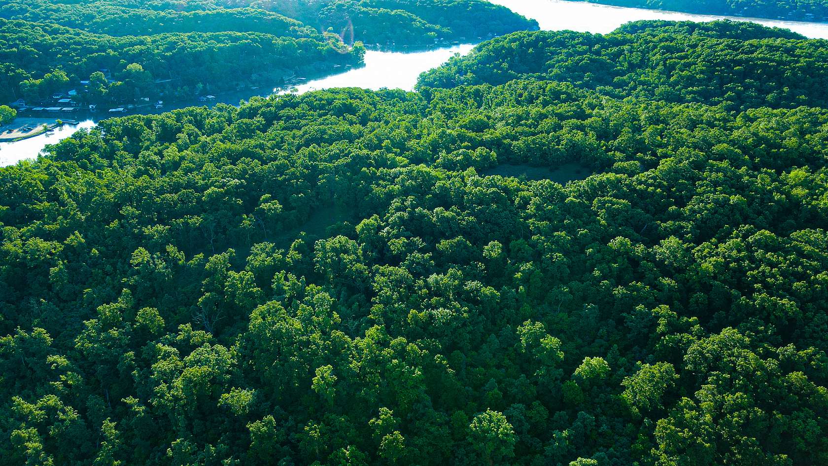 62.6 Acres of Land for Sale in Edwards, Missouri