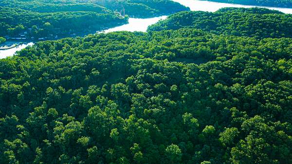 62.6 Acres of Land for Sale in Edwards, Missouri