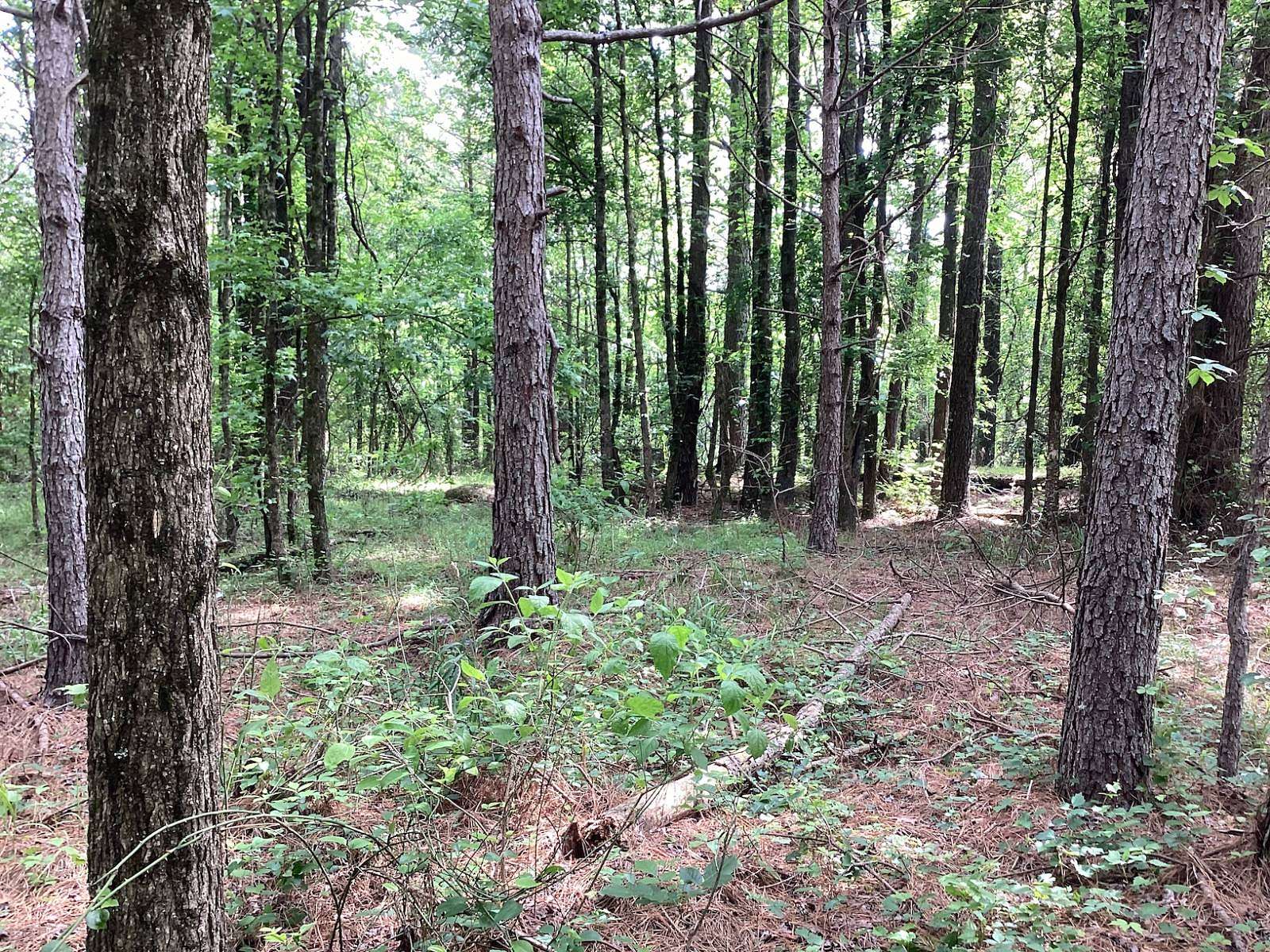 15 Acres of Land for Sale in New Hope, Arkansas