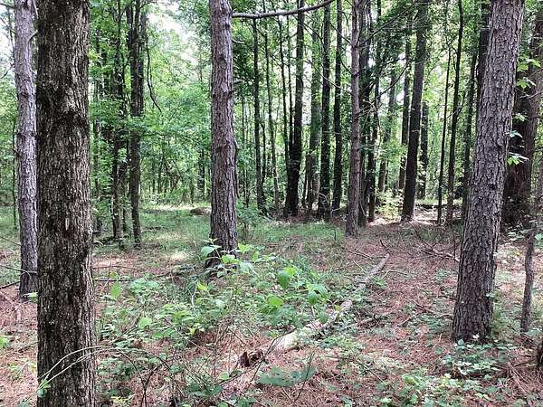 15 Acres of Recreational & Residential Land for Sale in New Hope, Arkansas