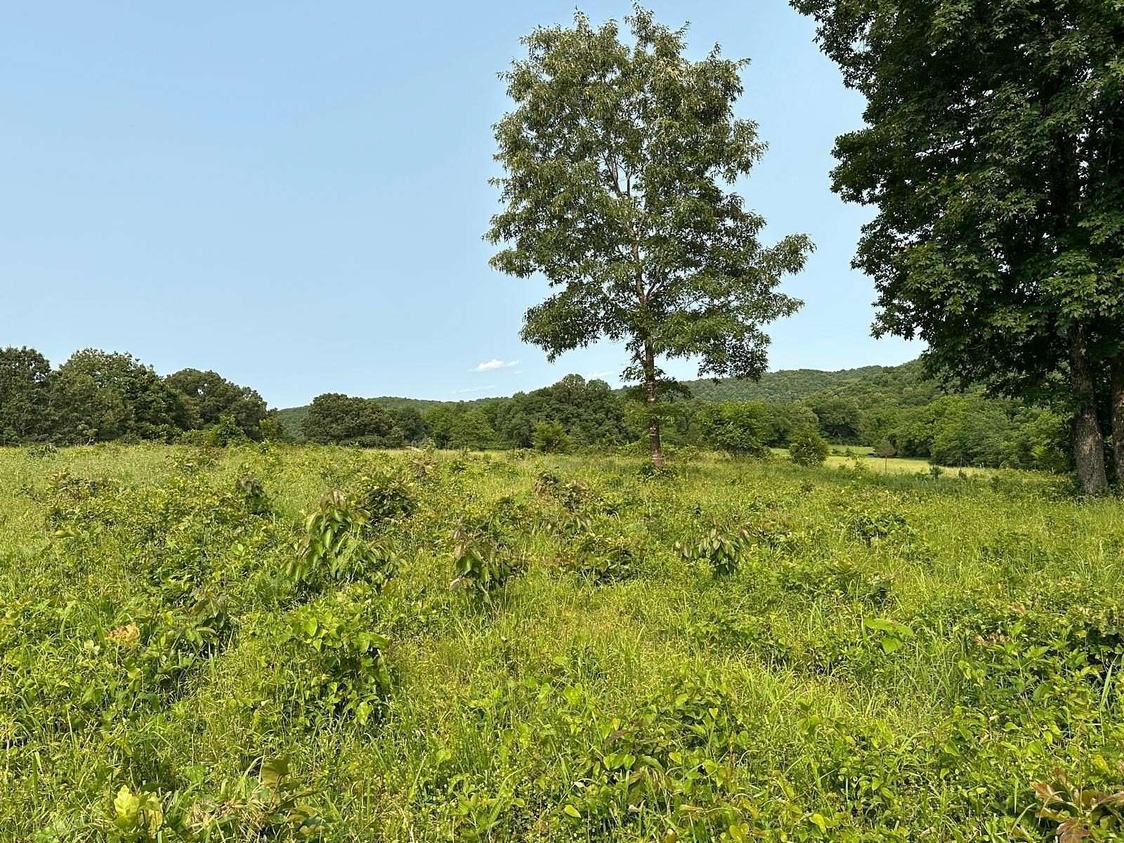 80 Acres of Agricultural Land for Sale in Everton, Arkansas