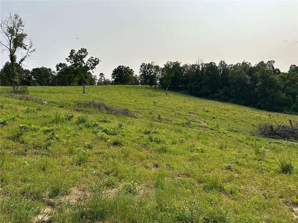 80 Acres of Agricultural & Residential Land for Sale in Everton, Arkansas