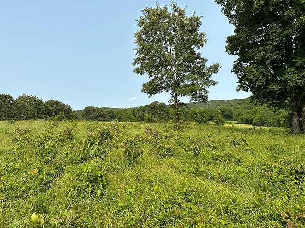 80 Acres of Agricultural Land for Sale in Everton, Arkansas