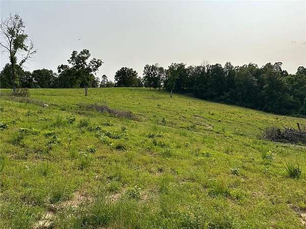 80 Acres of Agricultural & Residential Land for Sale in Everton, Arkansas