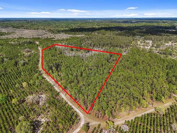 13.1 Acres of Land for Sale in Trenton, Florida