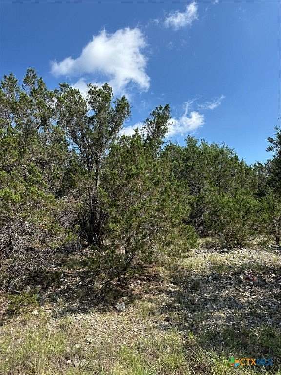 0.2 Acres of Residential Land for Sale in Spring Branch, Texas