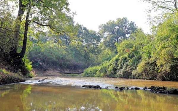 15 Acres of Land for Sale in Lufkin, Texas