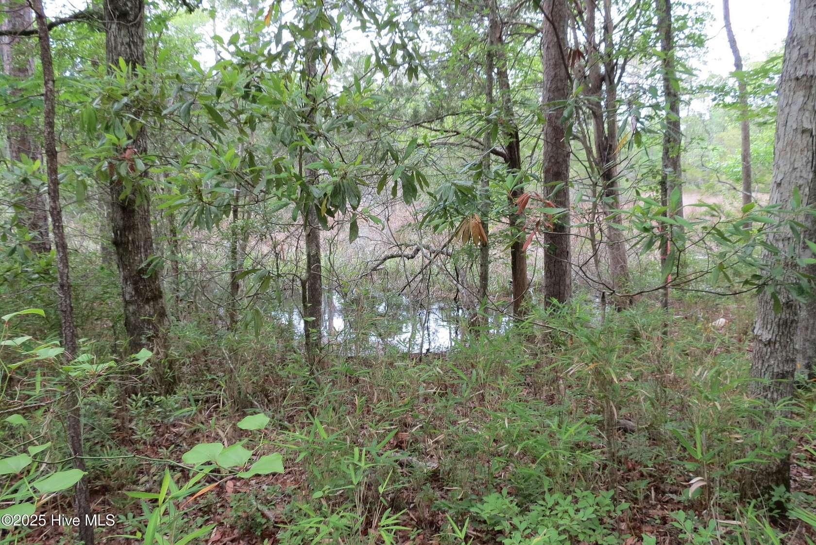 0.47 Acres of Residential Land for Sale in Oriental, North Carolina