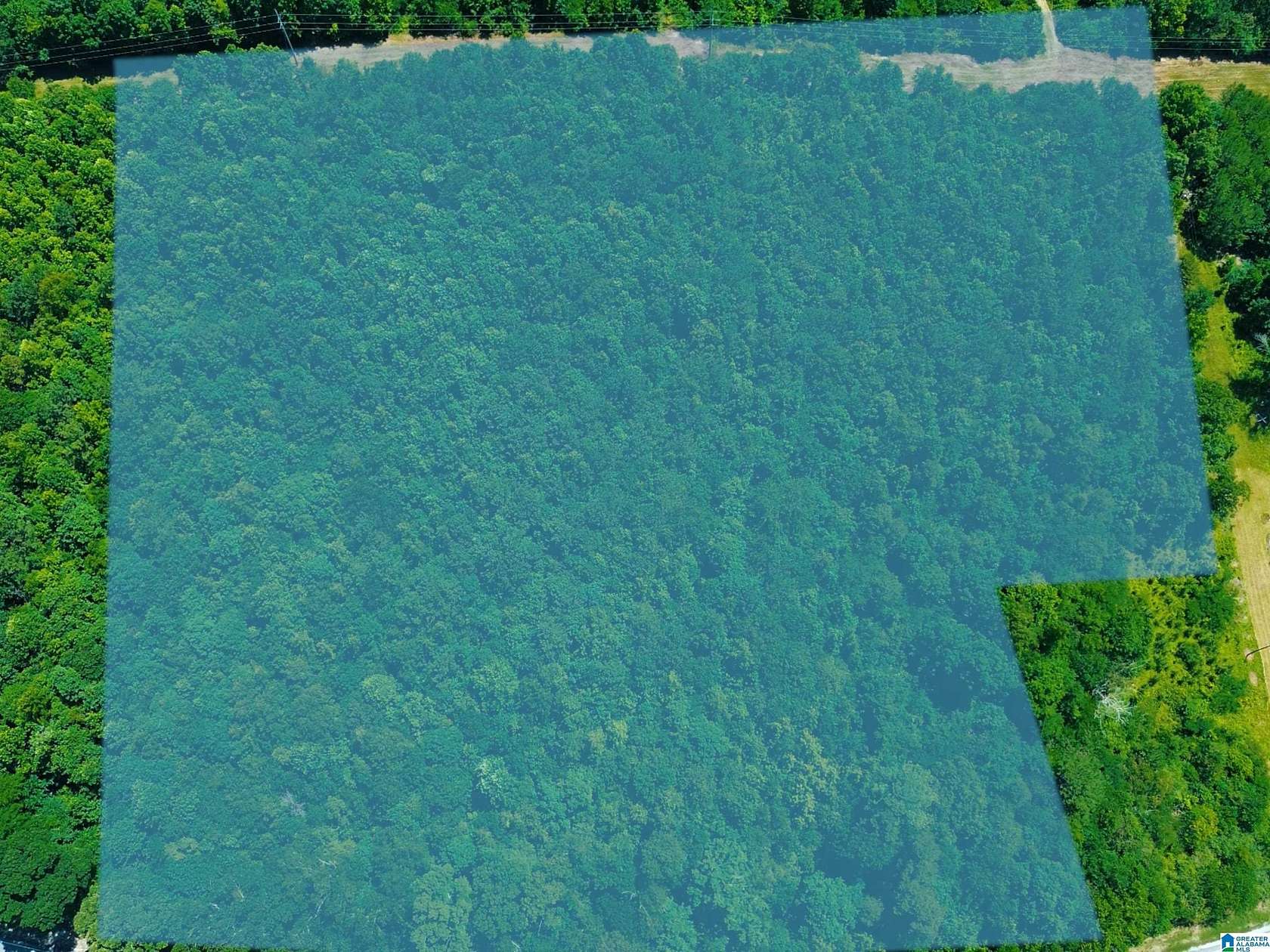 7.53 Acres of Residential Land for Sale in Piedmont, Alabama