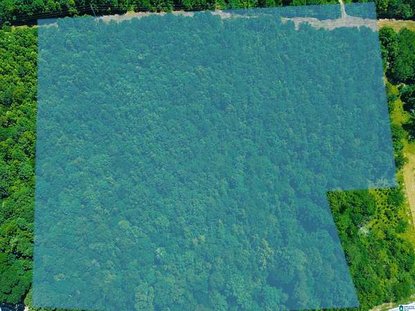 7.53 Acres of Residential Land for Sale in Piedmont, Alabama