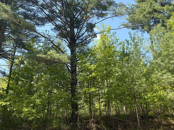 0.5 Acres of Residential Land for Sale in Danbury, Wisconsin