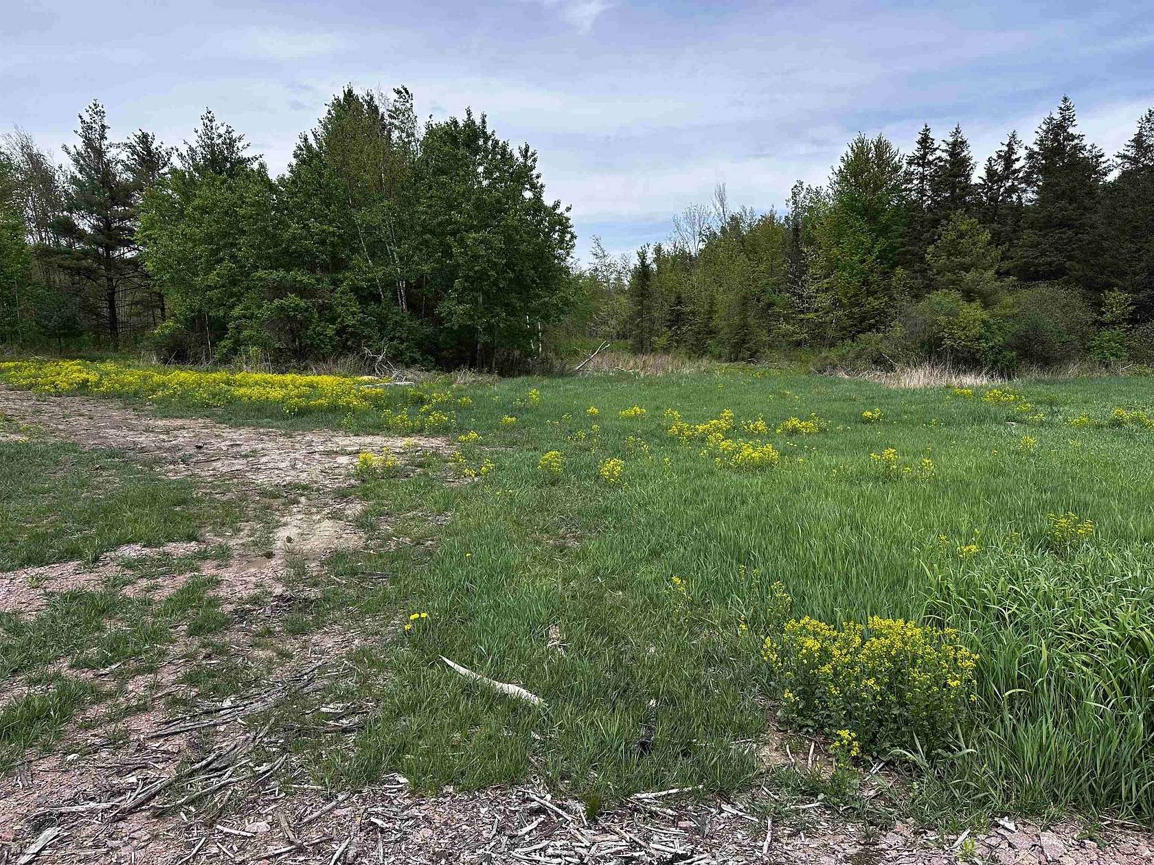 29 Acres of Land for Sale in Wausau, Wisconsin
