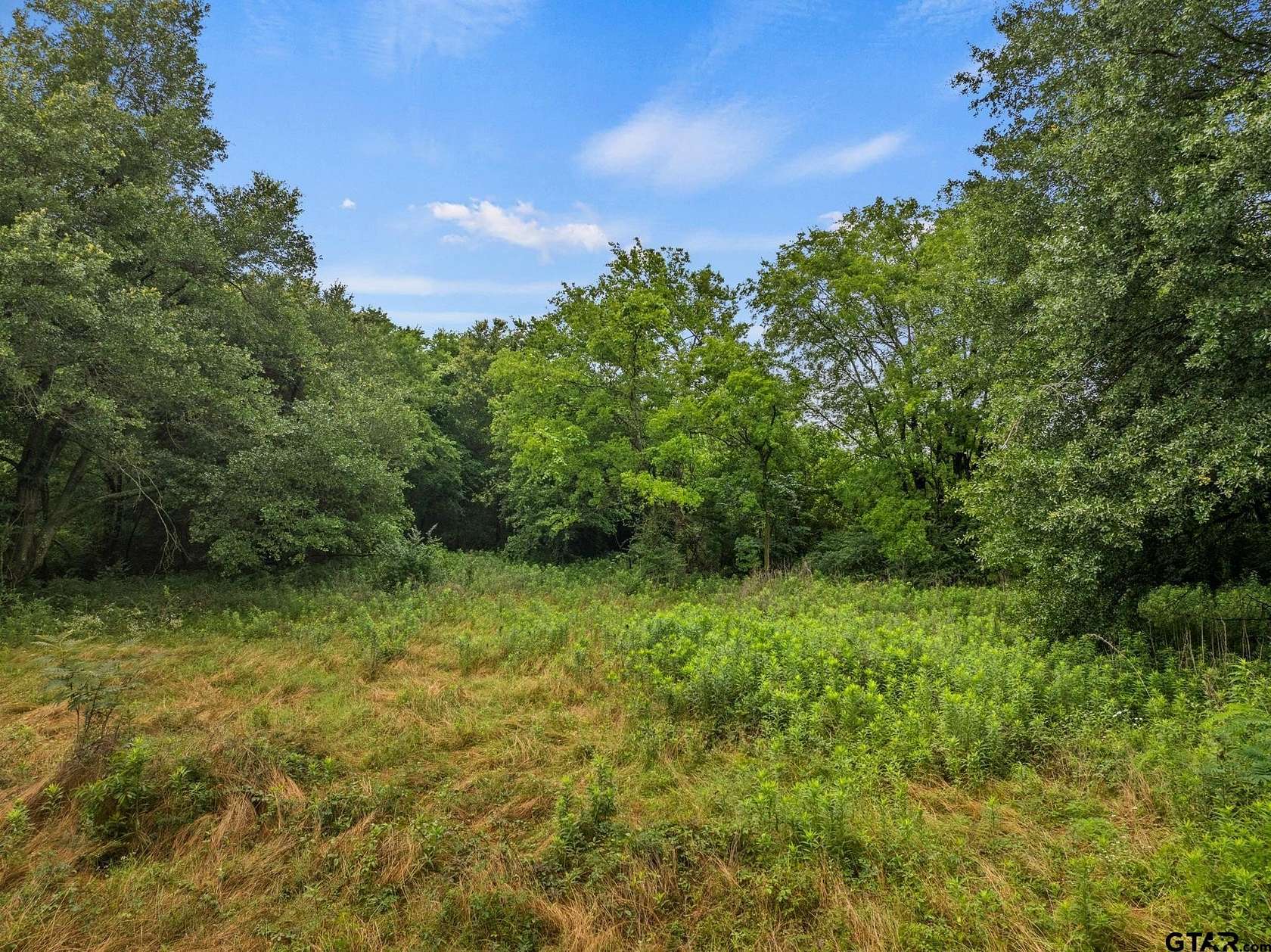 3.73 Acres of Residential Land for Sale in Mount Vernon, Texas