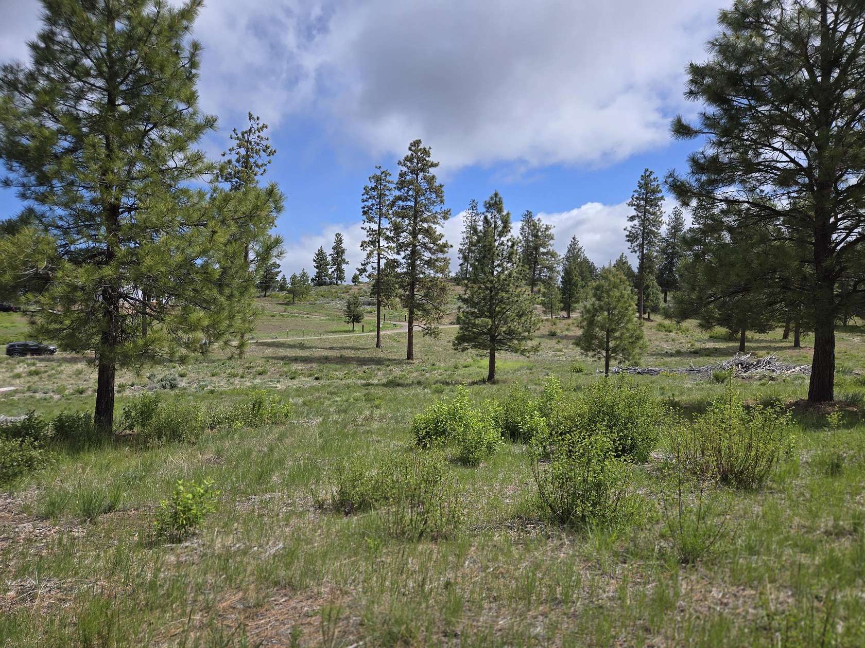 10 Acres of Recreational Land for Sale in Chiloquin, Oregon