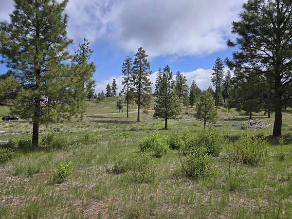 10 Acres of Recreational & Residential Land for Sale in Chiloquin, Oregon