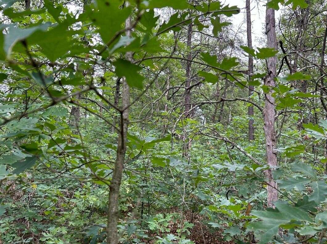 0.28 Acres of Land for Sale in Baldwin, Michigan