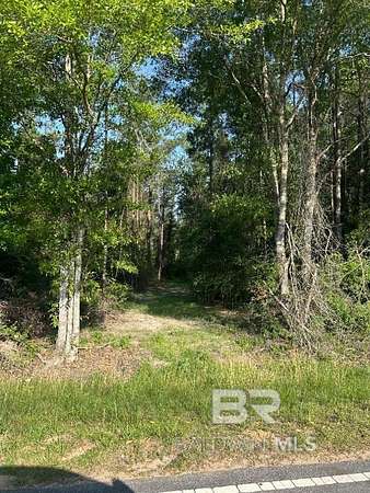 Land for Sale in Brewton, Alabama