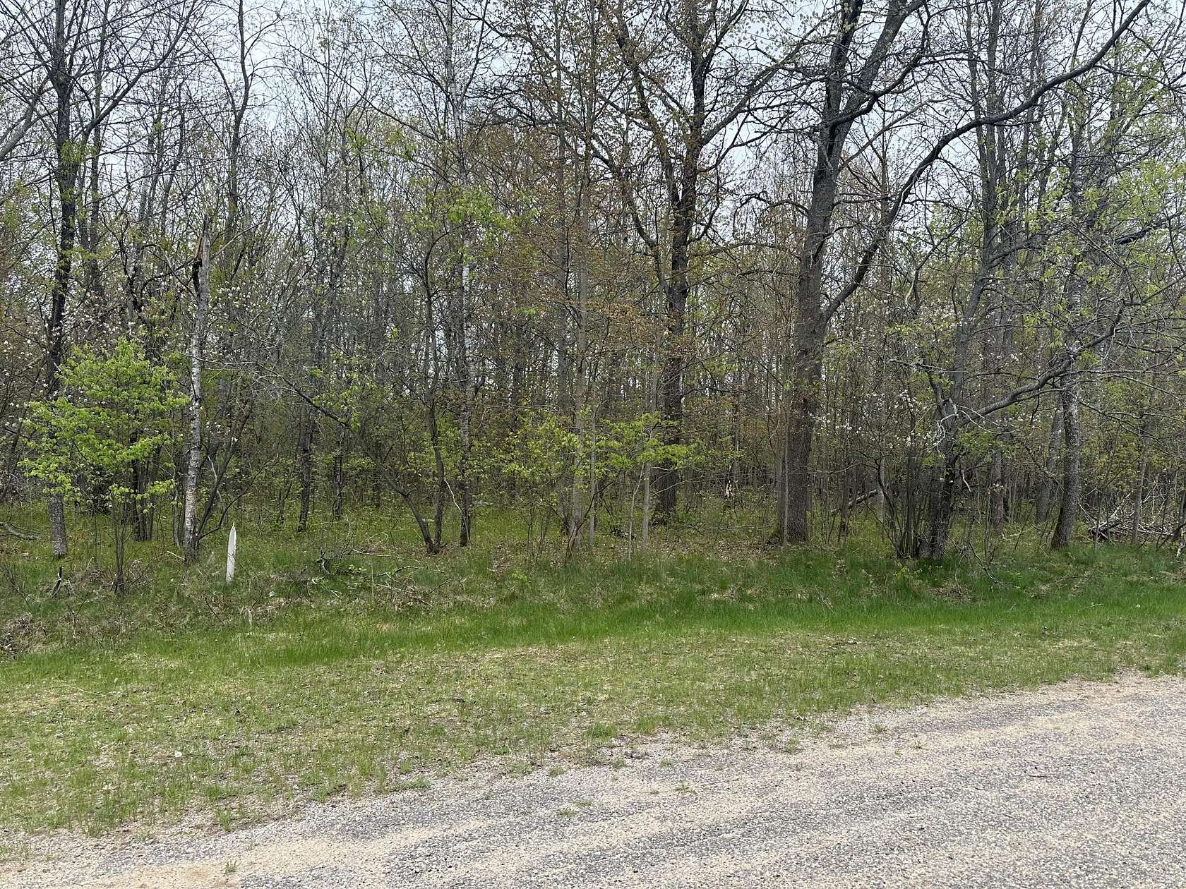 Land for Sale in Grayling, Michigan