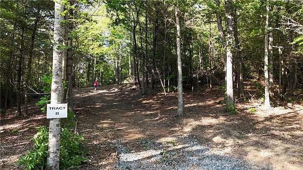 5 Acres of Residential Land for Sale in Ellijay, Georgia