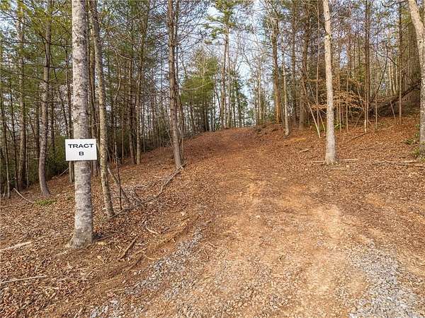 5 Acres of Residential Land for Sale in Ellijay, Georgia