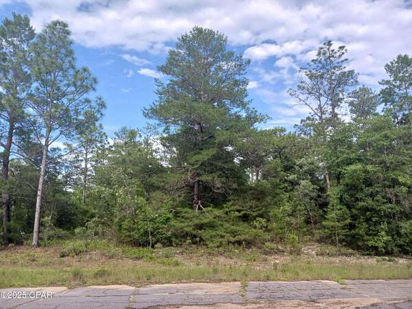 0.26 Acres of Residential Land for Sale in Chipley, Florida