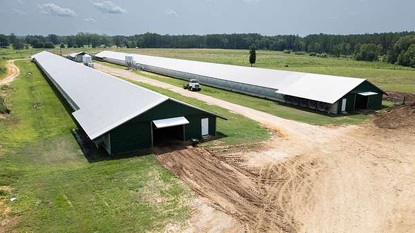 40 Acres of Agricultural Land for Sale in Richton, Mississippi