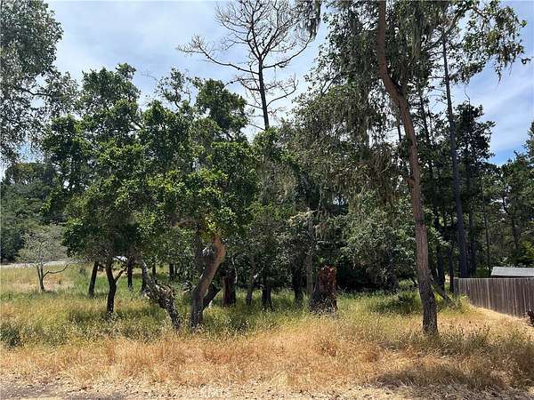0.23 Acres of Land for Sale in Cambria, California