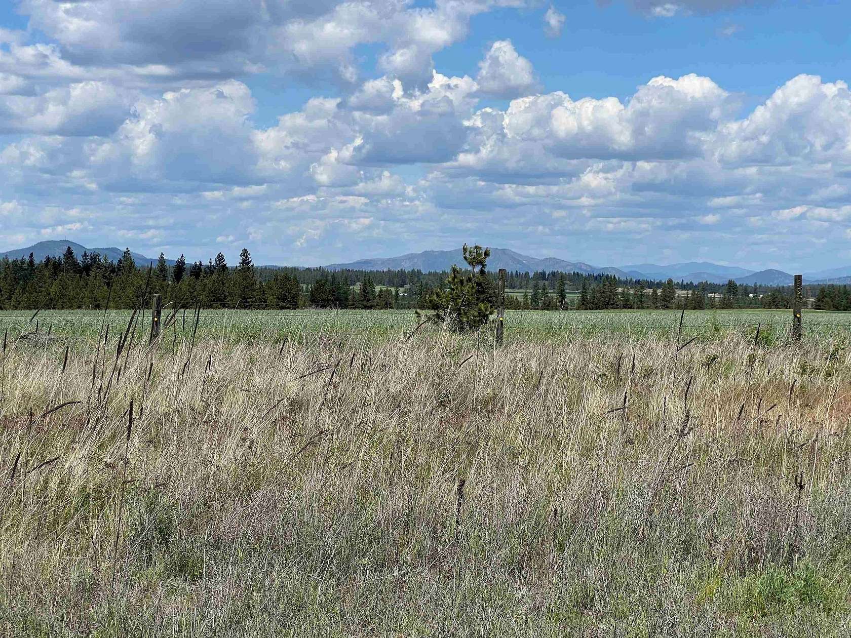 16.5 Acres of Land for Sale in Reardan, Washington