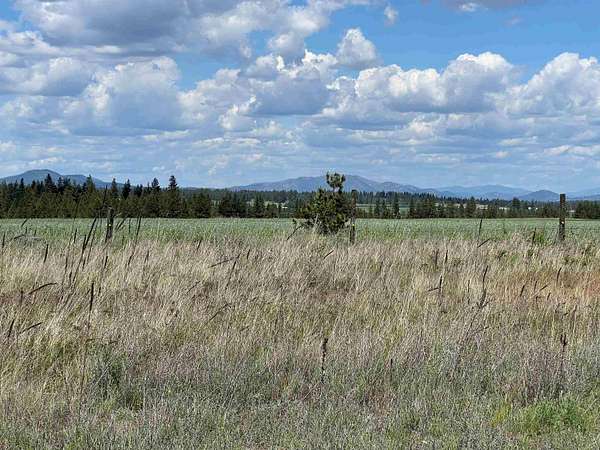16.5 Acres of Land for Sale in Reardan, Washington